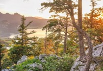 6 個​夢見山裡的解釋，夢到在山中遇見某人代表什麼徵兆？