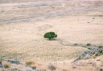 16 個夢見土地的解釋：夢見地上長樹、夢見大地震動