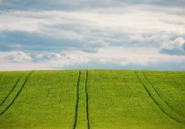 17 個夢見田野的解釋：夢見一片滿是水的田野 、夢見在田野裡播種