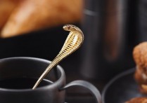 9 個夢見眼鏡蛇的解釋：夢見白色眼鏡蛇、夢見雙頭眼鏡蛇