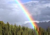 9 個夢見彩虹的解釋：夢見追隨彩虹、夢見漂浮在彩虹上