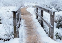 8 個夢見雪地道路的夢境解釋，夢到雪白眼代表什麼徵兆？