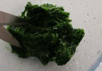 夢見海生菜是什麼意思（6 種夢境預兆含義）