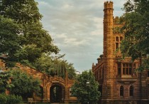 7 個夢見重返校園的解釋：夢見重返職場、夢見離開公司