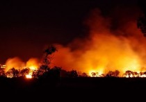 12 個夢見​野火的解釋：夢見因森林火災而燒毀的房子 、夢見被森林大火救出