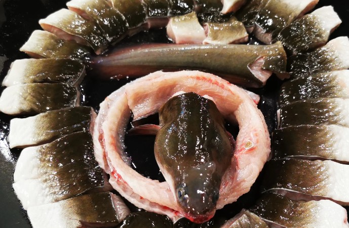 7 個夢見鰻魚的解釋：夢見鰻魚逃跑、夢見白鰻魚