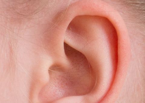 夢見耳聾的 6 個含義解夢：夢見被詛咒、夢見聽到嘮叨的聲音-狗尾詞典