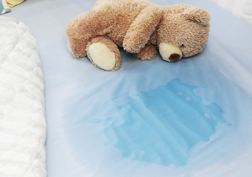 7 個夢見撒尿在毯子上的解釋：夢見在毯子上嘔吐、夢見被子上有血-狗尾詞典