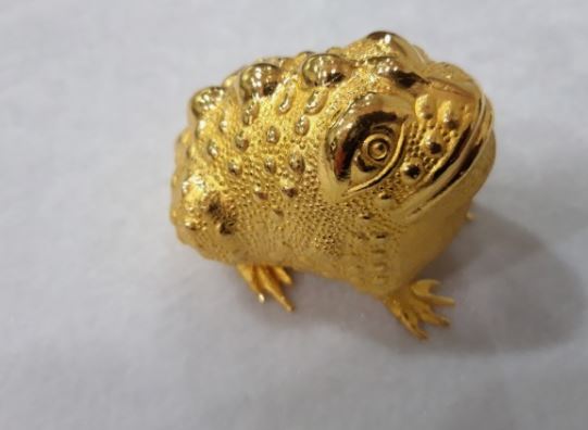 6 個夢見金蟾蜍的解釋：夢見送金蟾蜍、夢見丟了一隻金蟾蜍-狗尾詞典