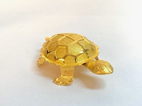 7 個夢見金龜的解釋：夢見金龜消失、夢見金龜跟著你-狗尾詞典