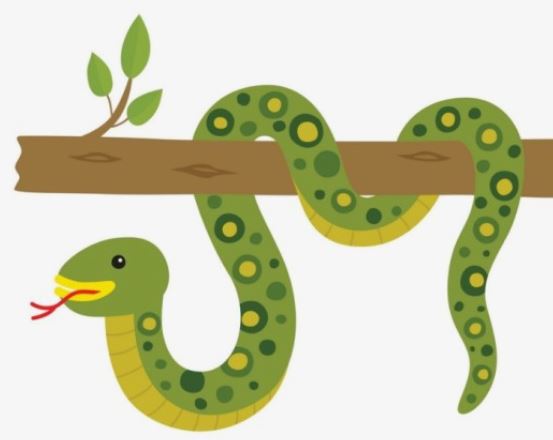 8 個夢見蠕蟲的解釋：夢見紅蟲、 夢見藍蟲-狗尾詞典