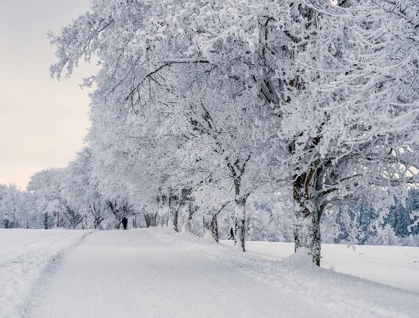 5 個夢見吃雪的解釋：夢見堆雪人、夢見在雪地上玩耍-狗尾詞典