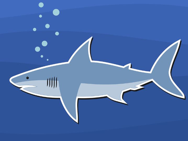 5 個夢見吃鯊魚的解釋：夢見鯊魚靠近 、夢見遇到鯊魚-狗尾詞典
