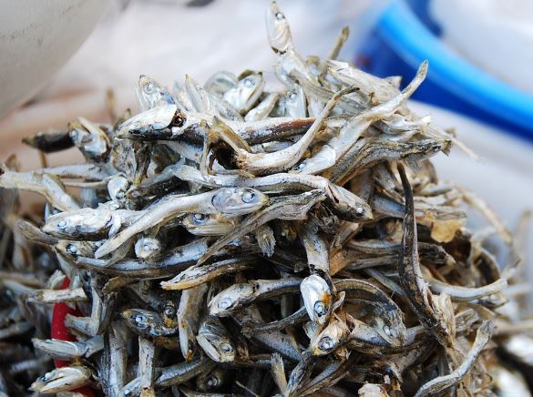 5 個夢見吃鳳尾魚的解釋：夢見鳳尾魚死去、夢見殺鳳尾魚-狗尾詞典