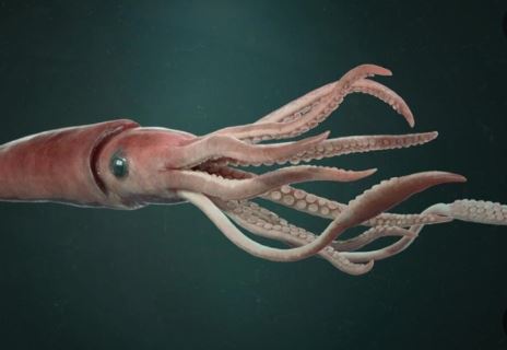 5 個夢見垂死魷魚的解釋：夢見巨型魷魚攻擊、夢見被巨型魷魚追趕-狗尾詞典