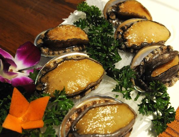 5 個夢見鮑魚的解釋：夢見鮑魚禮物、夢見送鮑魚-狗尾詞典