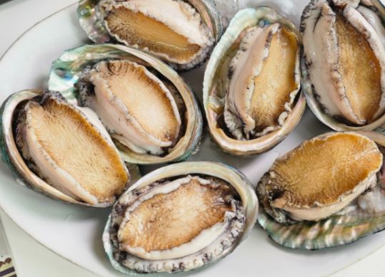 5 個夢見買鮑魚的解釋：夢見吃不到鮑魚 、 夢見討厭鮑魚-狗尾詞典