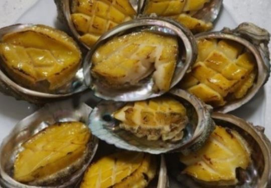 5 個夢見大鮑魚的解釋：夢見被大鮑魚、夢見送大鮑魚-狗尾詞典