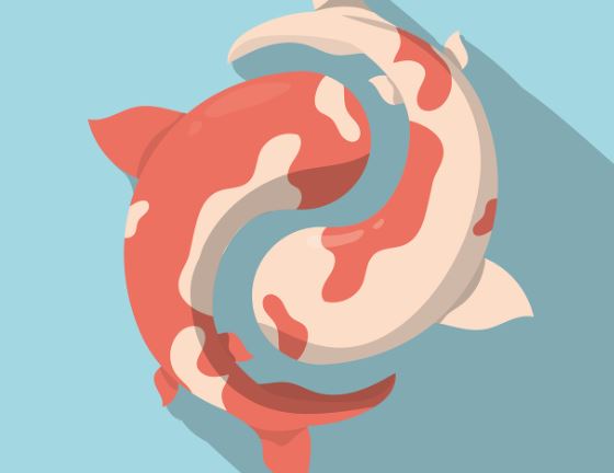 5 個夢見垂死鯉魚的解釋：夢見鯉魚攻擊、夢見鯉魚追你-狗尾詞典