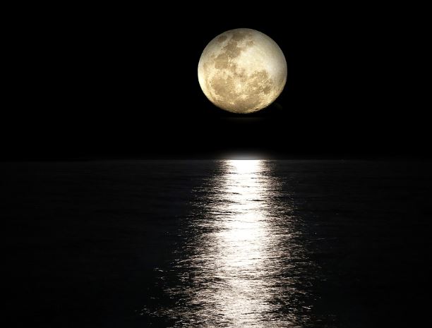 5 個夢見黑海的解釋:夢見黑海水、夢見進入黑海-狗尾詞典 5 個夢見黑海的解釋:夢見黑海水、夢見進入黑海-狗尾詞典