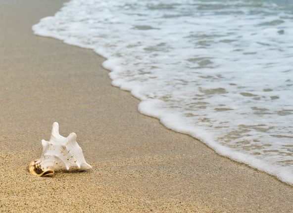 5 個夢見海浪拍打的解釋:夢見打浪 、夢見大浪-狗尾詞典 5 個夢見海浪拍打的解釋:夢見打浪 、夢見大浪-狗尾詞典