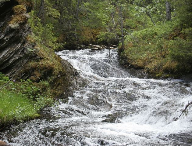 5 個夢見清澈河流的解釋：夢見清澈的河流流淌、夢見清澈的河流-狗尾詞典