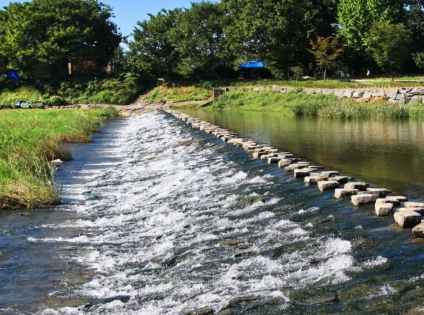 5 個夢見溪流的解釋：夢見去溪邊玩 、夢見掉進溪流裡-狗尾詞典