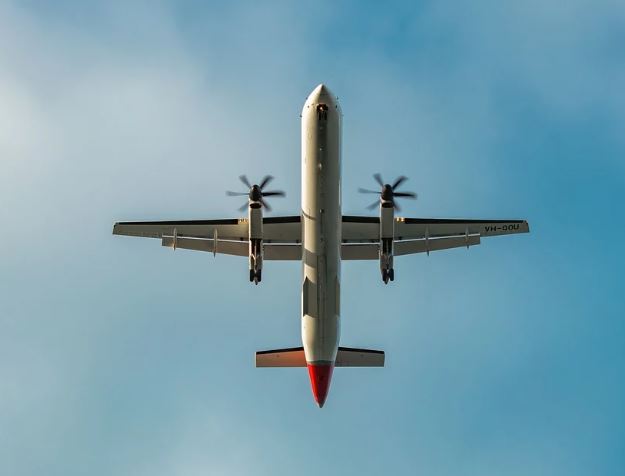 5 個夢見飛機飛行的解釋：夢見飛機撞鳥 、夢見飛機墜毀-狗尾詞典