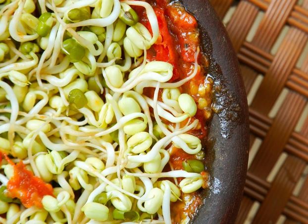 5 個夢見吃豆芽的解釋：夢見修剪豆芽 、 夢見摘豆芽-狗尾詞典