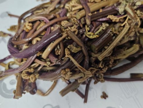 5 個夢見蕨類植物的解釋：夢見蕨類植物折斷 、 夢見蕨菜-狗尾詞典