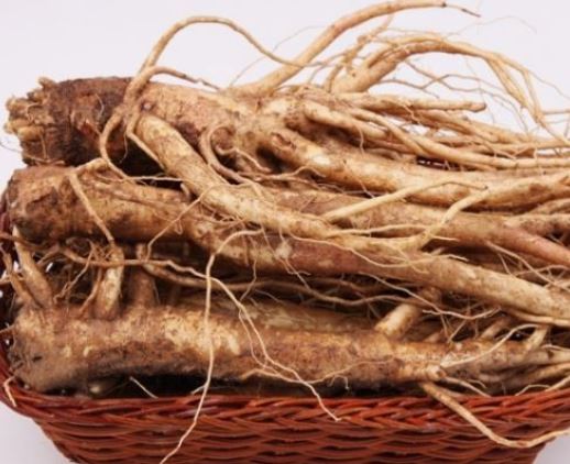 5 個夢見吃風鈴草的解釋：夢見偷風鈴草、夢見洗風鈴草-狗尾詞典