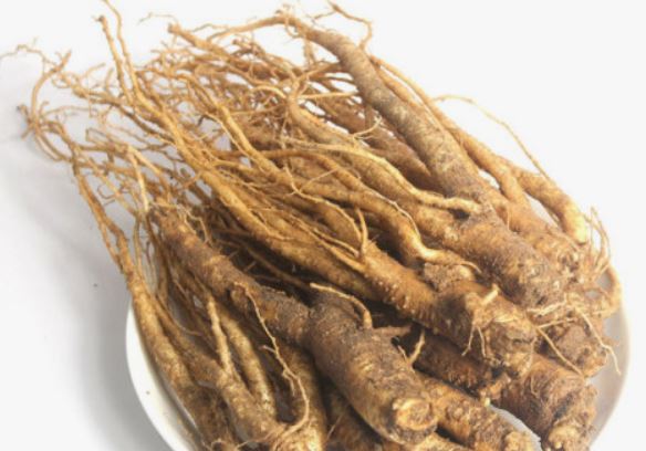 5 個夢見風鈴草的解釋：夢見找到風鈴草 、夢見送風鈴草-狗尾詞典