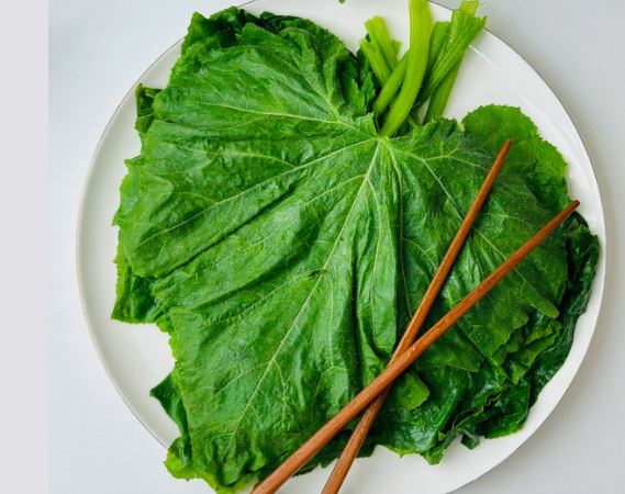 5 個夢見吃南瓜葉的解釋：夢見煮南瓜葉、 夢見滿是南瓜葉-狗尾詞典