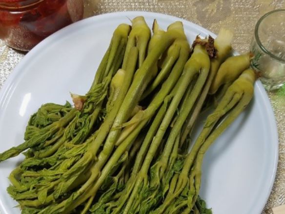 5 個夢見酸菜頭的解釋：夢見被酸菜頭、夢見種酸菜頭-狗尾詞典